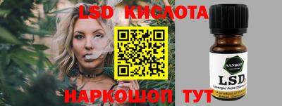 СК Канаш