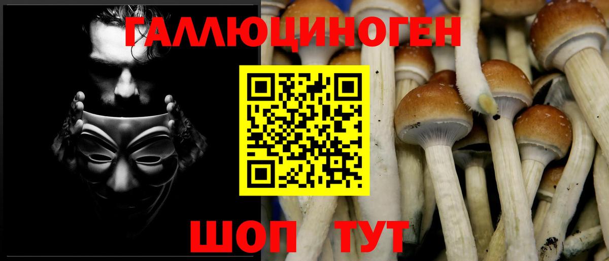 Краснокаменск  Галлюциногенные грибы MAGIC MUSHROOMS  Вход с VPN 